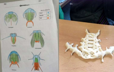 学生可以通过故事比活动更有效地学习