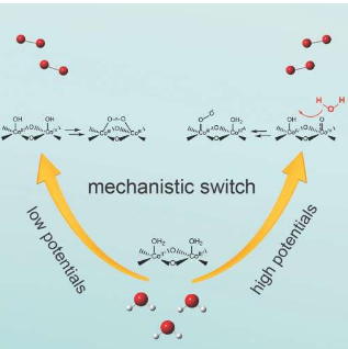 电位依赖性开关有助于使用氧化钴催化剂进行水分解