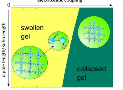 研究人员开发了高分子凝胶的微观理论