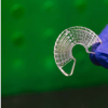 研究人员使用蚕丝来模拟肌肉组织