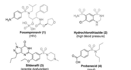 电化学为药物制造商开辟了可持续磺酰胺来源的途径