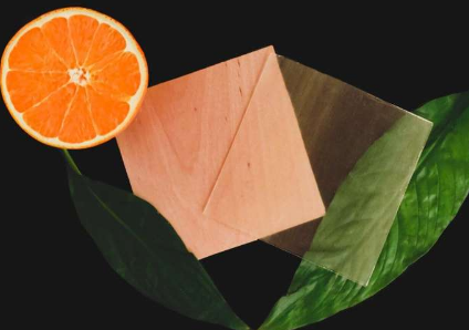 柑橘衍生物可使透明木材100％可再生