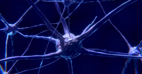 石墨烯纳米粒子及其对神经元的影响