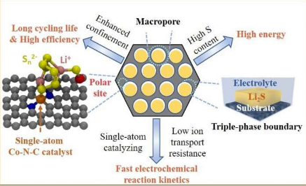 新型阴极设计显着提高下一代电池的性能