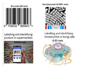 纳米级条形码设定了新的科学极限