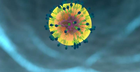 研究人员使用金纳米棒散射来识别免疫系统的杀手