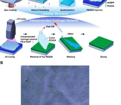 3D非接触式交互式显示器检测手指湿度以改变颜色