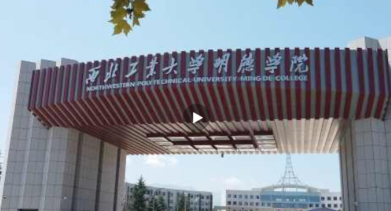教育新闻：陕西一高校100多名学生被就业 多个班学生在个人所得税APP上有工资记录
