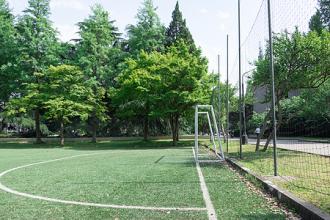 教育新闻：为什么大学跟我们想象中的有很大区别