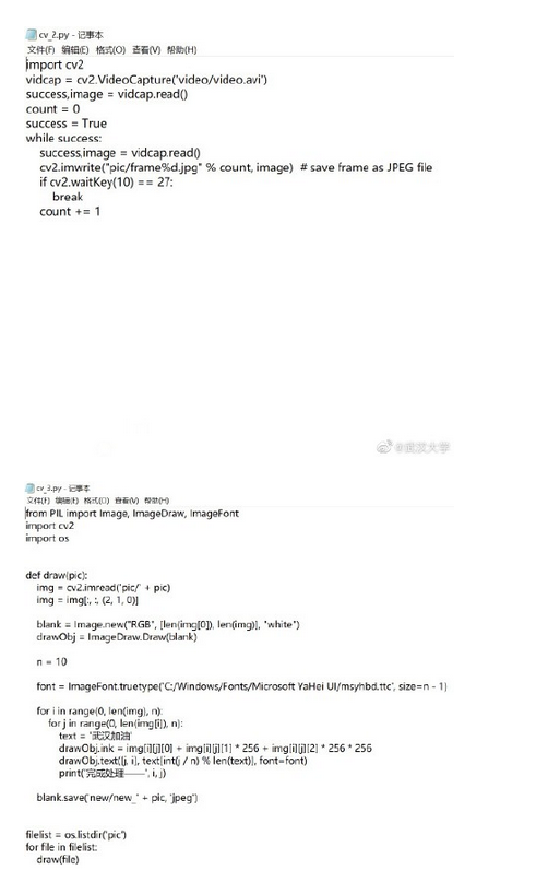 教育新闻：武大学生代码敲出樱花开放 一度成为微博热搜