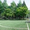 教育新闻：为什么大学跟我们想象中的有很大区别