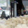 教育新闻：武汉后续仍将有大到暴雨武汉市防汛抗旱指挥部启动防汛Ⅳ级应急响应