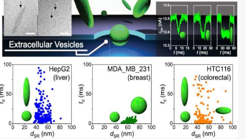 体液中纳米颗粒的形状可能揭示癌症的类型