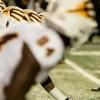 最高法院和NCAA的决定鼓励加州大学运动员赔偿的倡导者