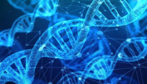 23andMe为2型糖尿病易感性增加了新的基因检测
