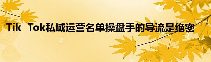 Tik  Tok私域运营名单操盘手的导流是绝密
