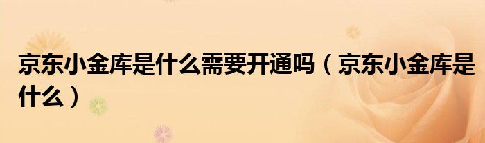 京东小金库是什么需要开通吗（京东小金库是什么）