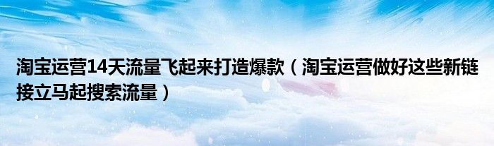 淘宝运营14天流量飞起来打造爆款（淘宝运营做好这些新链接立马起搜索流量）