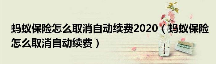 蚂蚁保险怎么取消自动续费2020（蚂蚁保险怎么取消自动续费）