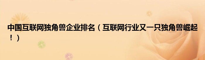 中国互联网独角兽企业排名（互联网行业又一只独角兽崛起！）