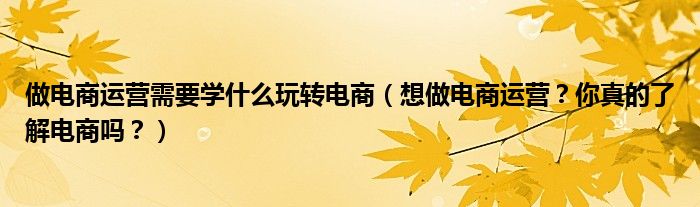 做电商运营需要学什么玩转电商（想做电商运营？你真的了解电商吗？）