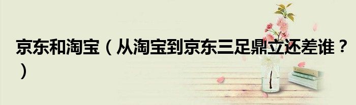 京东和淘宝（从淘宝到京东三足鼎立还差谁？）