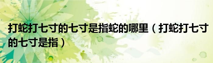 打蛇打七寸的七寸是指蛇的哪里（打蛇打七寸的七寸是指）