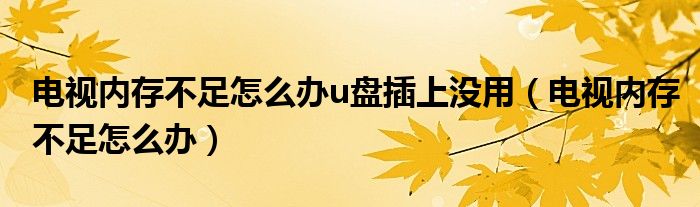 电视内存不足怎么办u盘插上没用（电视内存不足怎么办）