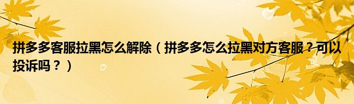 拼多多客服拉黑怎么解除（拼多多怎么拉黑对方客服？可以投诉吗？）