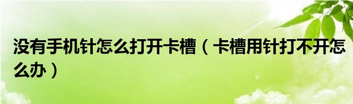 没有手机针怎么打开卡槽（卡槽用针打不开怎么办）