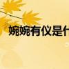 婉婉有仪是什么意思（婉婉有仪什么意思）