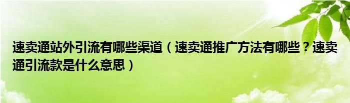 速卖通站外引流有哪些渠道（速卖通推广方法有哪些？速卖通引流款是什么意思）
