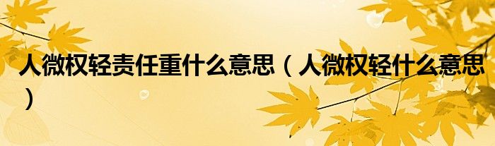 人微权轻责任重什么意思（人微权轻什么意思）