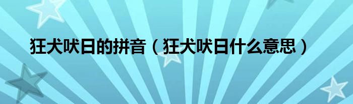 狂犬吠日的拼音（狂犬吠日什么意思）