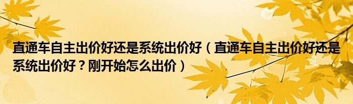 直通车自主出价好还是系统出价好（直通车自主出价好还是系统出价好？刚开始怎么出价）