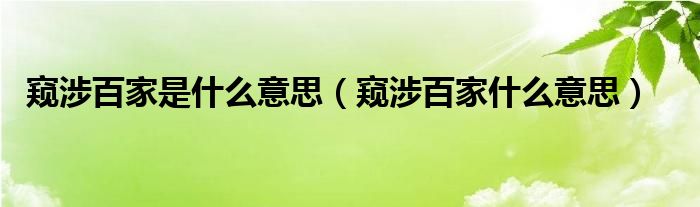 窥涉百家是什么意思（窥涉百家什么意思）