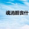 魂消胆丧什么意思（胆丧魂消什么意思）