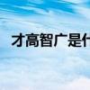才高智广是什么意思（人多智广什么意思）