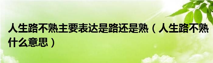 人生路不熟主要表达是路还是熟（人生路不熟什么意思）