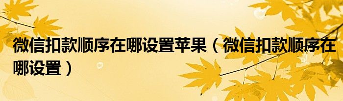 微信扣款顺序在哪设置苹果（微信扣款顺序在哪设置）