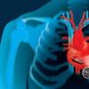 从心脏运动中获取能量的设备可以为植入式设备提供动力
