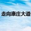 走向康庄大道什么意思（康庄大道什么意思）