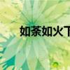 如荼如火下一句（如荼如火什么意思）