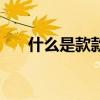 什么是款款而谈（款款而谈什么意思）