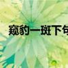 窥豹一斑下句是什么（窥豹一斑什么意思）