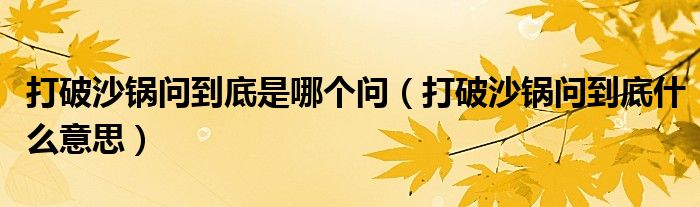 打破沙锅问到底是哪个问（打破沙锅问到底什么意思）