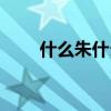 什么朱什么碧（看碧成朱什么意思）