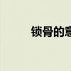 锁骨的意思（攘肌及骨什么意思）