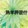 熟羊胛是什么意思（如熟羊胛什么意思）
