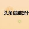 头角满脑是什么意思（肉头肉脑什么意思）